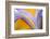 USA, Pennsylvania. Detail of Iris Flower Pattern-Jaynes Gallery-Framed Photographic Print