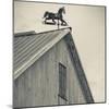 USA, Pennsylvania, Dutch Country, Amish Barn and Weathervane-Walter Bibikow-Mounted Photographic Print