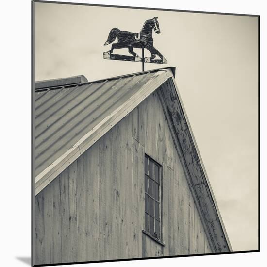 USA, Pennsylvania, Dutch Country, Amish Barn and Weathervane-Walter Bibikow-Mounted Photographic Print