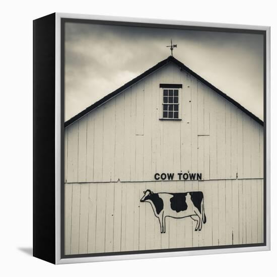 USA, Pennsylvania, Dutch Country, Smoketown, Barn with Cow Art-Walter Bibikow-Framed Premier Image Canvas