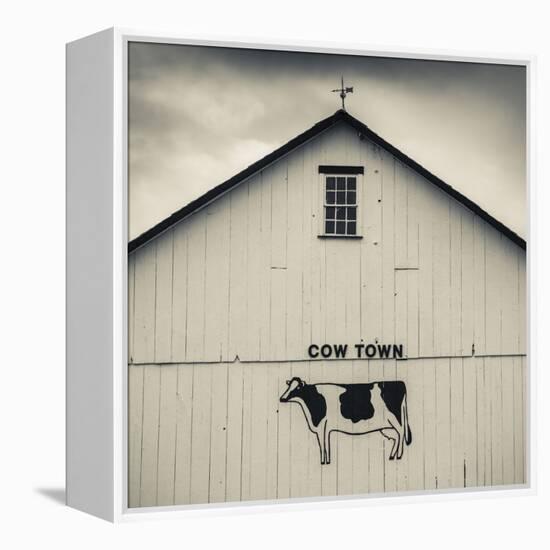 USA, Pennsylvania, Dutch Country, Smoketown, Barn with Cow Art-Walter Bibikow-Framed Premier Image Canvas
