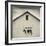 USA, Pennsylvania, Dutch Country, Smoketown, Barn with Cow Art-Walter Bibikow-Framed Photographic Print