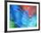 USA, Pennsylvania, Erie. Oil Abstract-Ellen Anon-Framed Photographic Print