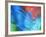 USA, Pennsylvania, Erie. Oil Abstract-Ellen Anon-Framed Photographic Print