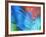 USA, Pennsylvania, Erie. Oil Abstract-Ellen Anon-Framed Photographic Print