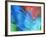 USA, Pennsylvania, Erie. Oil Abstract-Ellen Anon-Framed Photographic Print