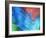 USA, Pennsylvania, Erie. Oil Abstract-Ellen Anon-Framed Photographic Print