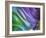 USA, Pennsylvania, Erie. Oil Abstract-Ellen Anon-Framed Photographic Print