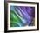 USA, Pennsylvania, Erie. Oil Abstract-Ellen Anon-Framed Photographic Print