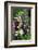 USA, Pennsylvania. Foxglove and Delphinium on Fence-Jaynes Gallery-Framed Photographic Print