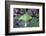 USA, Pennsylvania. Luna Moth on Cherry Tree in Spring-Jaynes Gallery-Framed Photographic Print