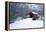 USA, Pennsylvania, Mariana County. Hughes Covered Bridge in Winter-Jaynes Gallery-Framed Premier Image Canvas