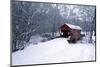 USA, Pennsylvania, Mariana County. Hughes Covered Bridge in Winter-Jaynes Gallery-Mounted Photographic Print