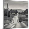 USA, Pennsylvania, Pennsylvania Dutch Country, Paradise, Amish Horse and Buggy on Paradise Lane-Walter Bibikow-Mounted Photographic Print