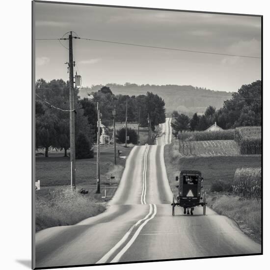 USA, Pennsylvania, Pennsylvania Dutch Country, Paradise, Amish Horse and Buggy on Paradise Lane-Walter Bibikow-Mounted Photographic Print