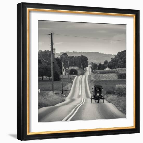 USA, Pennsylvania, Pennsylvania Dutch Country, Paradise, Amish Horse and Buggy on Paradise Lane-Walter Bibikow-Framed Photographic Print