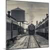 USA, Pennsylvania, Pennsylvania Dutch Country, Strasburg, Strasburg Railroad, Steam Train-Walter Bibikow-Mounted Photographic Print