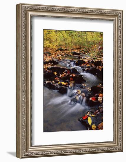 USA, Pennsylvania, Pocono Mountains. Cascade in Autumn Scenic-Jaynes Gallery-Framed Photographic Print