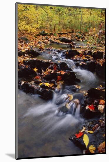 USA, Pennsylvania, Pocono Mountains. Cascade in Autumn Scenic-Jaynes Gallery-Mounted Photographic Print