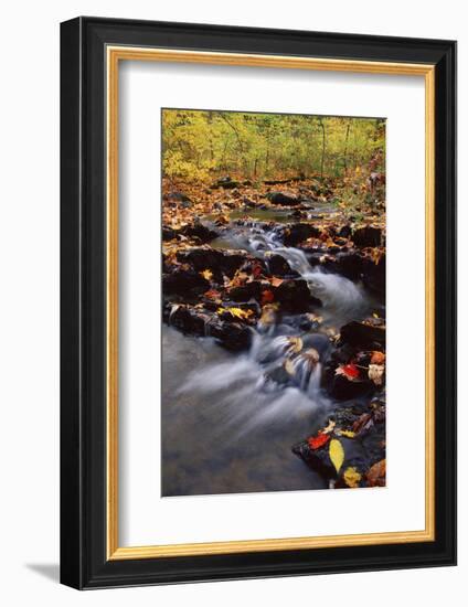 USA, Pennsylvania, Pocono Mountains. Cascade in Autumn Scenic-Jaynes Gallery-Framed Photographic Print