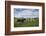 USA, Pennsylvania, Ronks. cows-Walter Bibikow-Framed Photographic Print