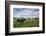 USA, Pennsylvania, Ronks. cows-Walter Bibikow-Framed Photographic Print