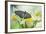 USA, Pennsylvania. Swallowtail Butterfly on Flower-Jaynes Gallery-Framed Photographic Print