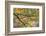 USA, Pennsylvania. Tree Branch in Autumn Light-Jaynes Gallery-Framed Photographic Print