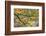 USA, Pennsylvania. Tree Branch in Autumn Light-Jaynes Gallery-Framed Photographic Print