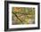 USA, Pennsylvania. Tree Branch in Autumn Light-Jaynes Gallery-Framed Photographic Print