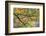 USA, Pennsylvania. Tree Branch in Autumn Light-Jaynes Gallery-Framed Photographic Print