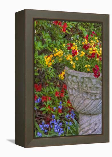 USA, Pennsylvania, Wayne, Chanticleer Garden. Flower Scenic-Jay O'brien-Framed Premier Image Canvas