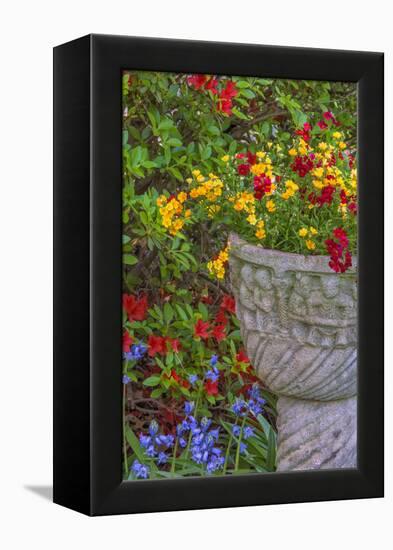 USA, Pennsylvania, Wayne, Chanticleer Garden. Flower Scenic-Jay O'brien-Framed Premier Image Canvas