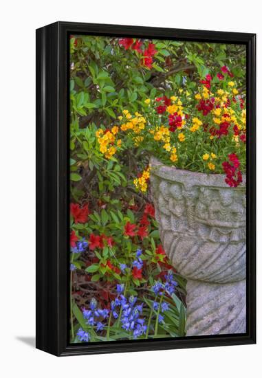 USA, Pennsylvania, Wayne, Chanticleer Garden. Flower Scenic-Jay O'brien-Framed Premier Image Canvas