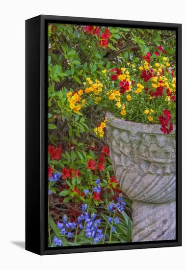 USA, Pennsylvania, Wayne, Chanticleer Garden. Flower Scenic-Jay O'brien-Framed Premier Image Canvas