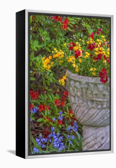 USA, Pennsylvania, Wayne, Chanticleer Garden. Flower Scenic-Jay O'brien-Framed Premier Image Canvas
