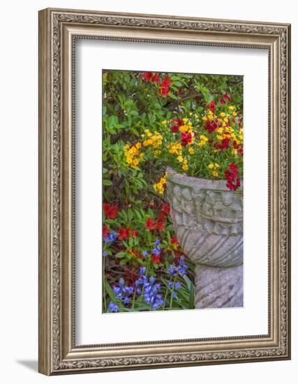 USA, Pennsylvania, Wayne, Chanticleer Garden. Flower Scenic-Jay O'brien-Framed Photographic Print