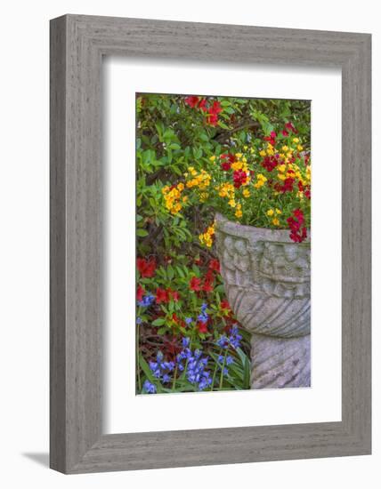 USA, Pennsylvania, Wayne, Chanticleer Garden. Flower Scenic-Jay O'brien-Framed Photographic Print