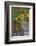 USA, Pennsylvania, Wayne, Chanticleer Garden. Flower Scenic-Jay O'brien-Framed Photographic Print