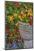 USA, Pennsylvania, Wayne, Chanticleer Garden. Flower Scenic-Jay O'brien-Mounted Photographic Print