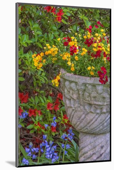 USA, Pennsylvania, Wayne, Chanticleer Garden. Flower Scenic-Jay O'brien-Mounted Photographic Print