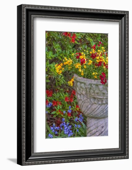 USA, Pennsylvania, Wayne, Chanticleer Garden. Flower Scenic-Jay O'brien-Framed Photographic Print