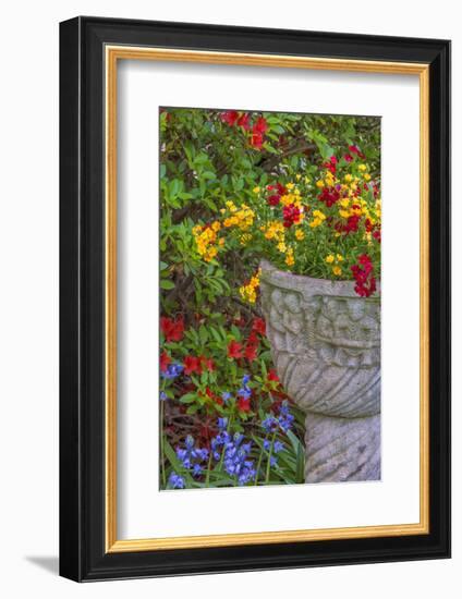 USA, Pennsylvania, Wayne, Chanticleer Garden. Flower Scenic-Jay O'brien-Framed Photographic Print