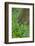 USA, Pennsylvania, Wayne, Chanticleer Garden. Spring Scenic-Jay O'brien-Framed Photographic Print