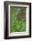 USA, Pennsylvania, Wayne, Chanticleer Garden. Spring Scenic-Jay O'brien-Framed Photographic Print