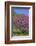 USA, Pennsylvania, Wayne, Chanticleer Garden. Tree in Bloom-Jay O'brien-Framed Photographic Print