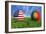 USA-Portugal-mhristov-Framed Art Print