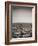 USA, Seattle, sailboat in Elli-Savanah Plank-Framed Photo