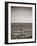 USA, Seattle, sailboat in Elli-Savanah Plank-Framed Photo