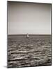 USA, Seattle, sailboat in Elli-Savanah Plank-Mounted Photo